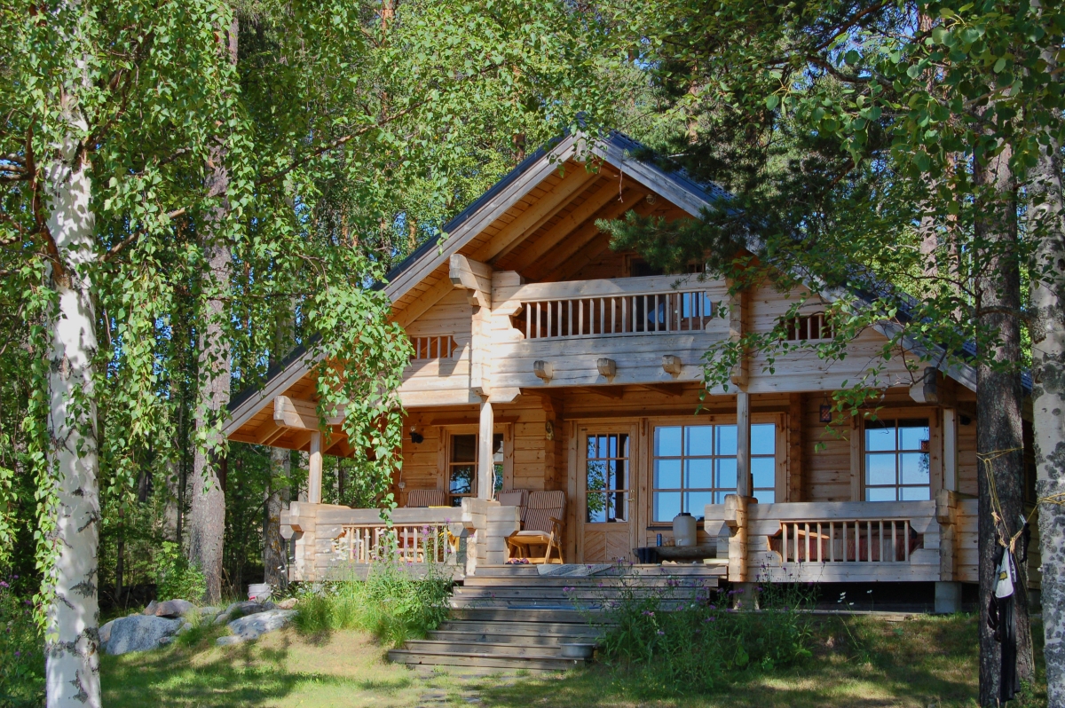 chalet en bois dans la forêt