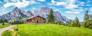 chalet en bois dans une grande clairière