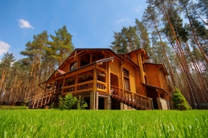chalet en bois dans une clairière