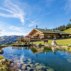 chalet en bois à côté d'une rivière