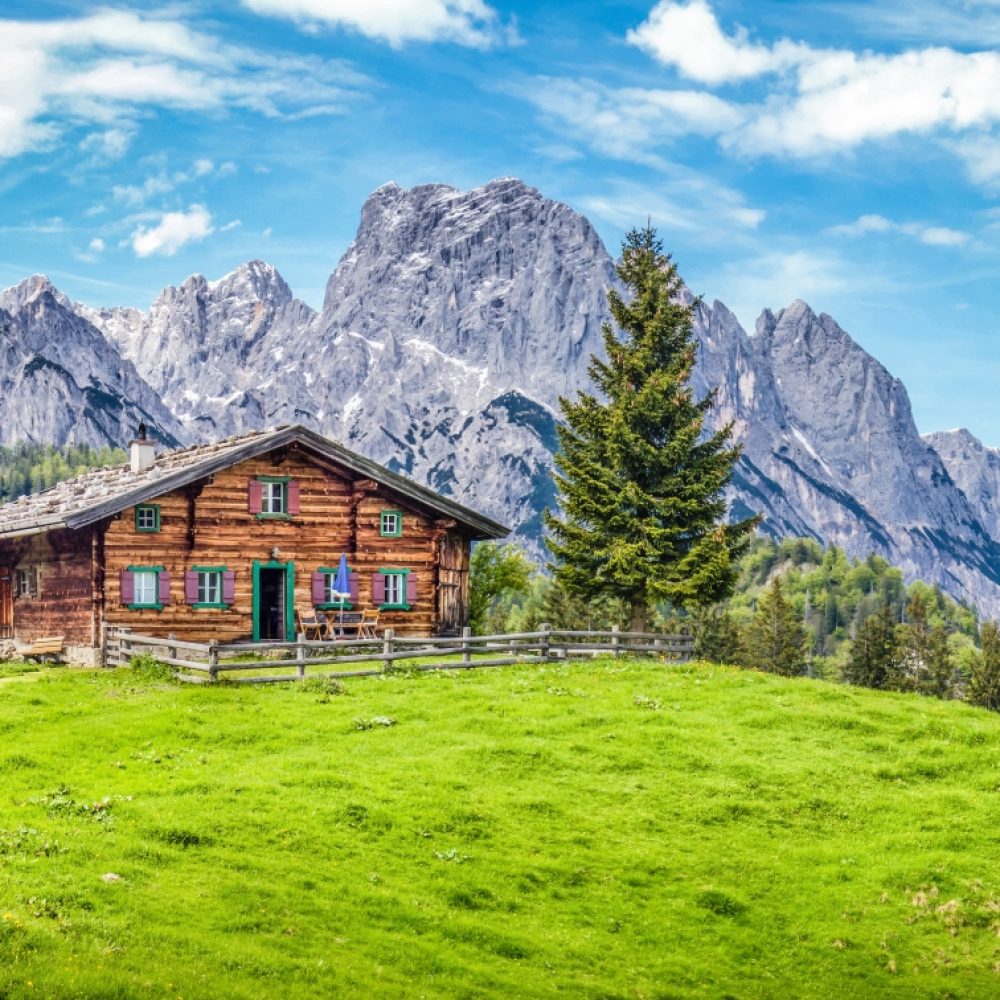 chalet en bois dans une grande clairière