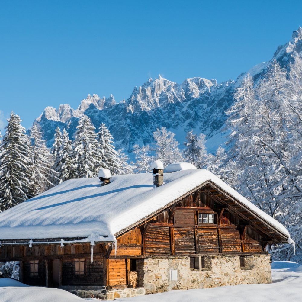 Chalet en bois dans la forêt enneigé